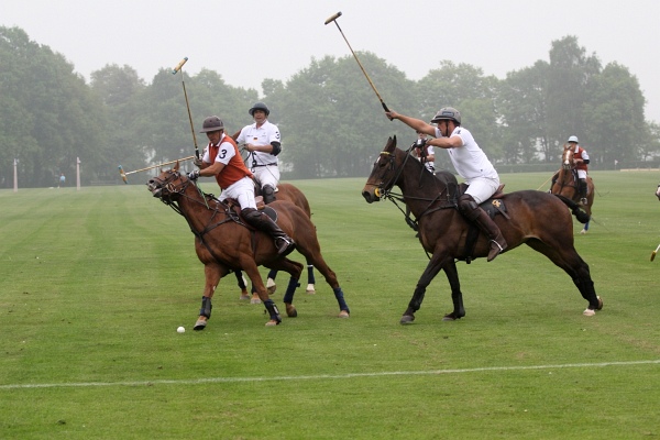 Polo_Art   081.jpg